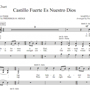 vocal - castillo fuete