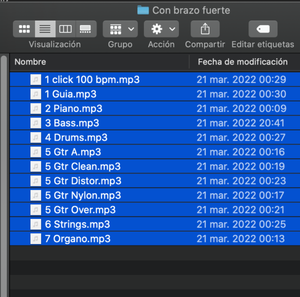 Multitracks   - Con Brazo Fuerte-Jesus Adrian Romero- D - 100 BPM - Imagen 2