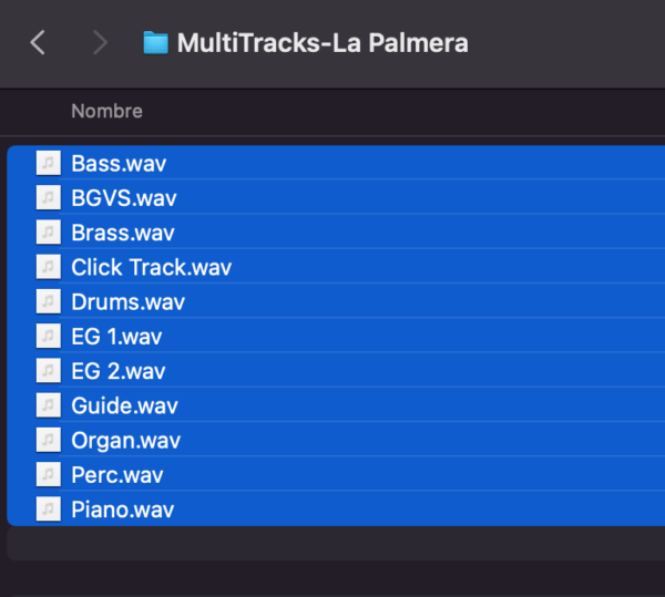 Multitracks-  "La Palmera"-Erick Porta-Dm-143 Bpm - Imagen 2